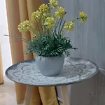 Atico Plata Apartament
